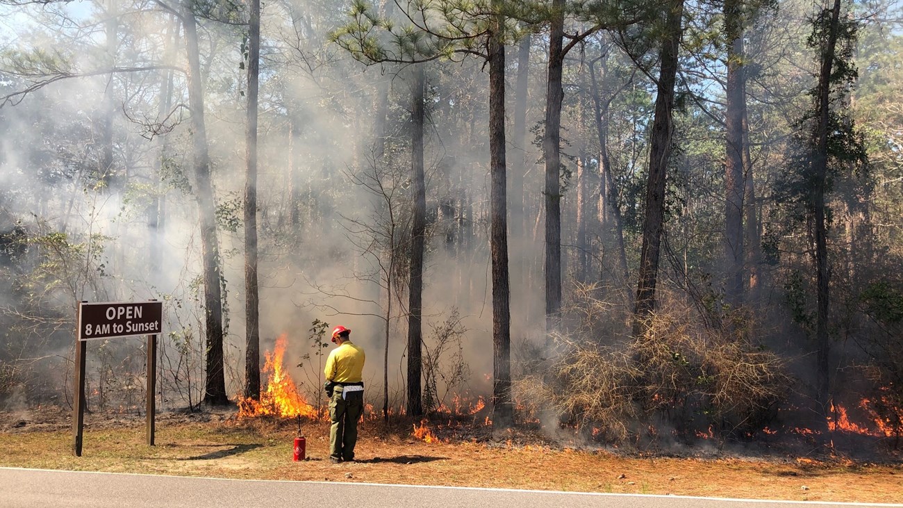 A person in yellow fire gear stands in front of a large fire in a forest.