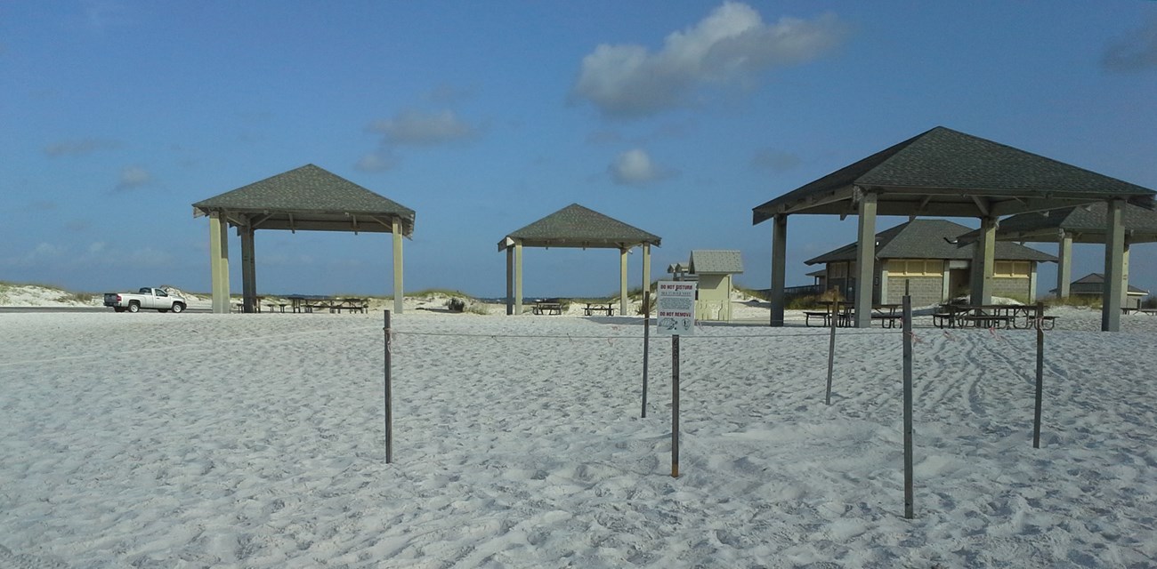 A sea turtle nest is marked by wooden stakes and a sign