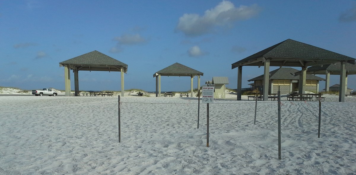 Marked Sea Turtle Nest A sea turtle nest is marked by wooden stakes and a sign