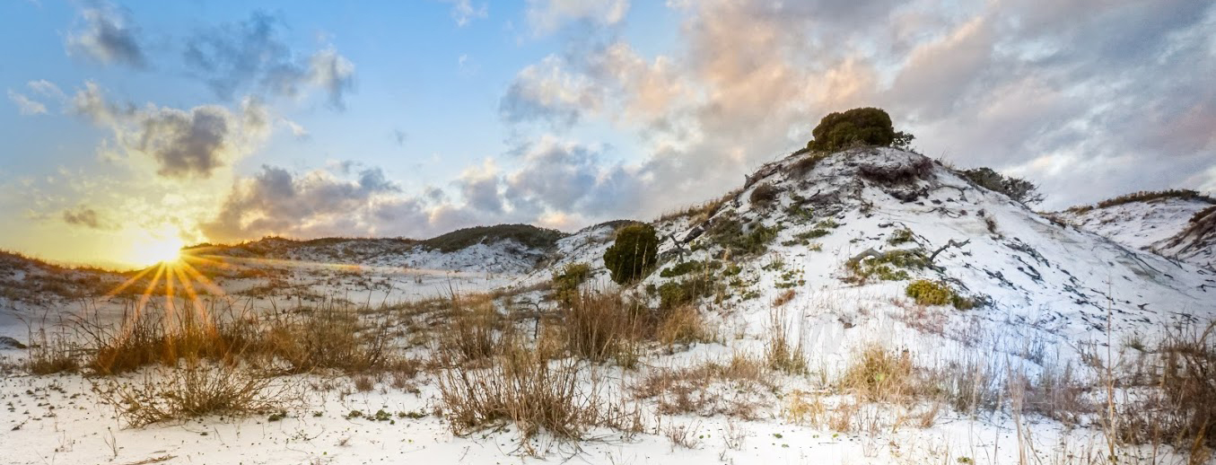 The sun bursts over a white sand dune with scattered vegetation. The sun bursts over a white sand dune with scattered vegetation.