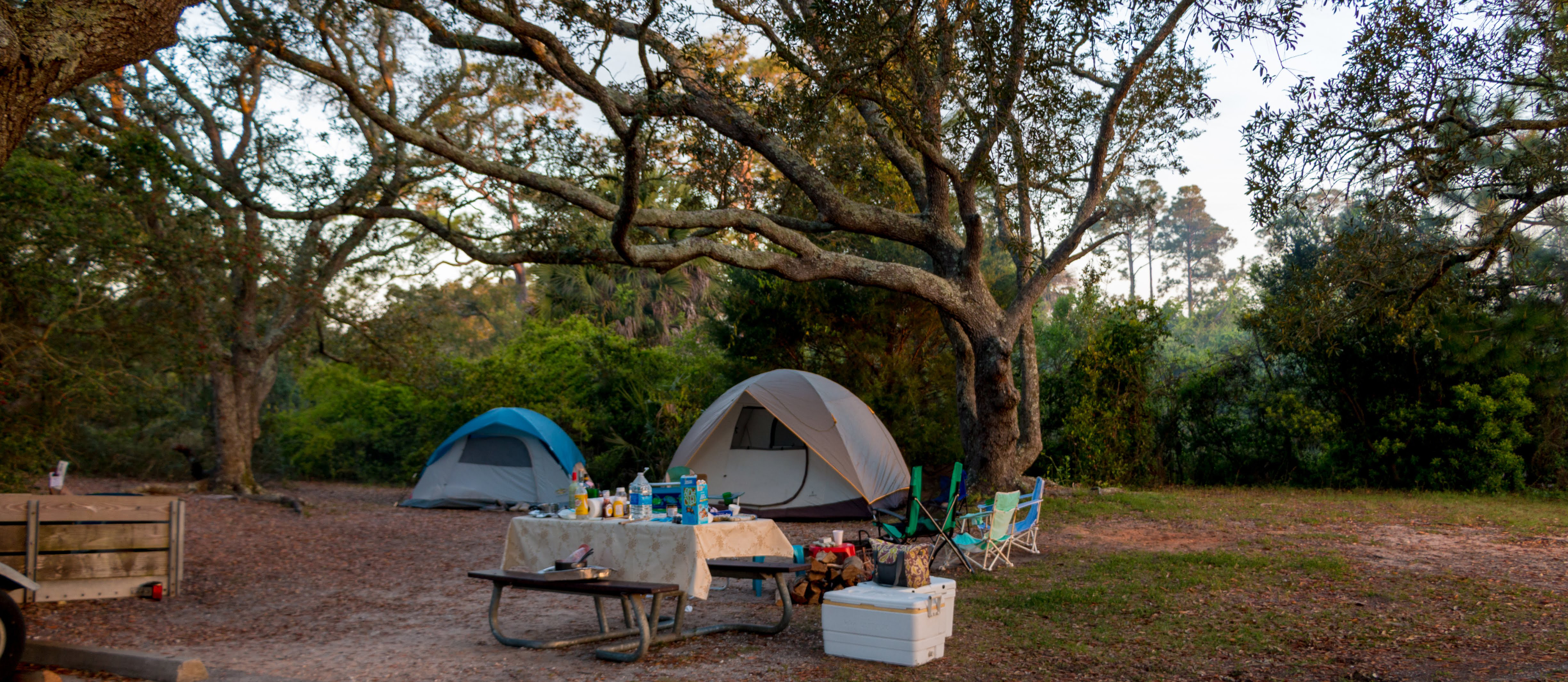 Two tents setup behind a picnic table under shady trees.