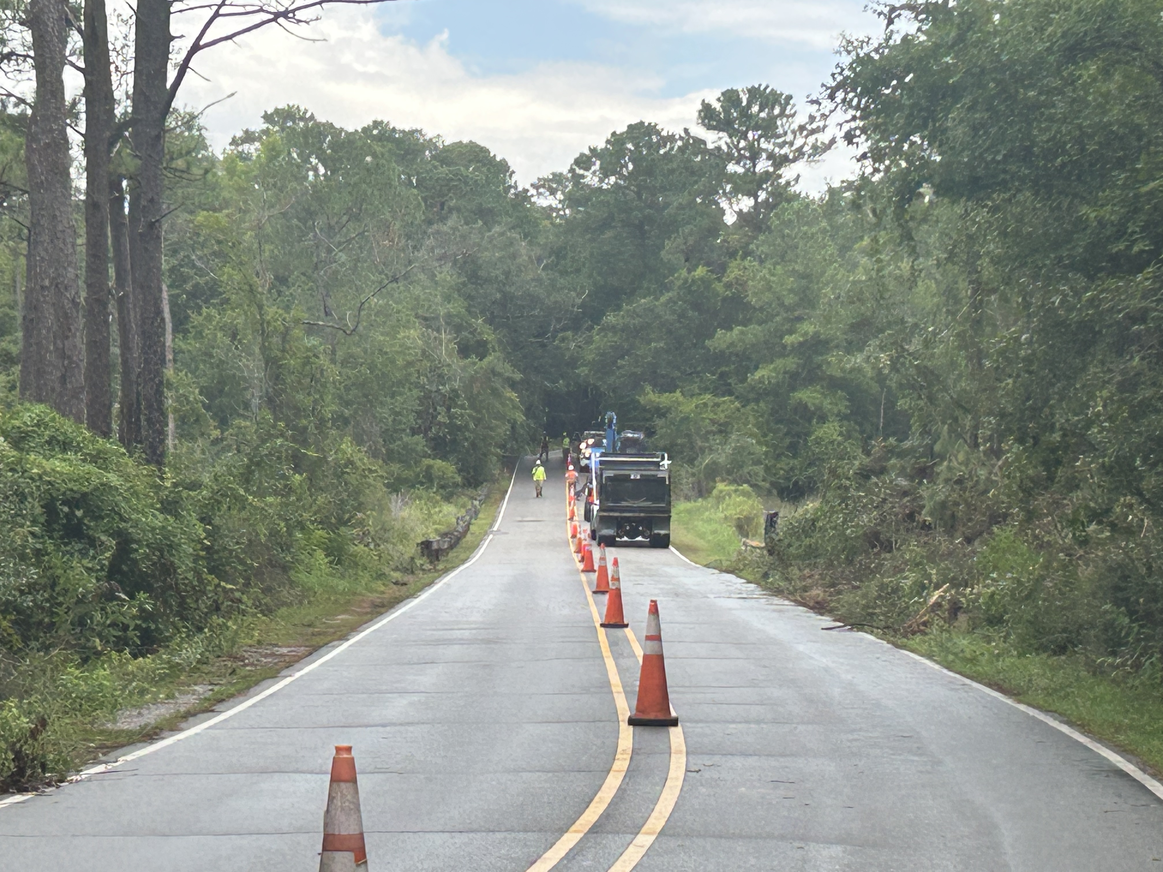Image 2_Bernstiel Orance cones on a road
