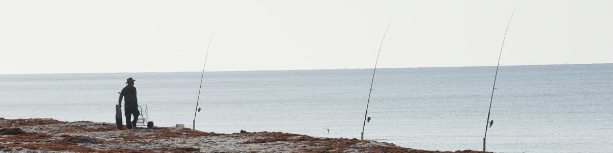A man walks along the beach near three fishing poles staked in the beach. A man walks along the beach near three fishing poles staked in the beach.