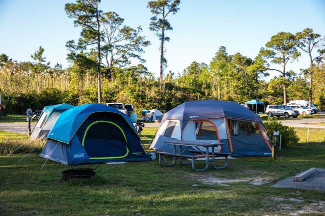 Two tents stand in a sunny field at Fort Pickens Campground.