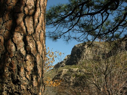 McKittrick Canyon McKittrick Canyon