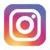the instagram logo