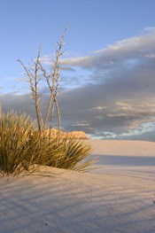 dunes