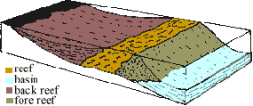 Diagram showing Capitan Reef, including fore reef, back reef, and basin.