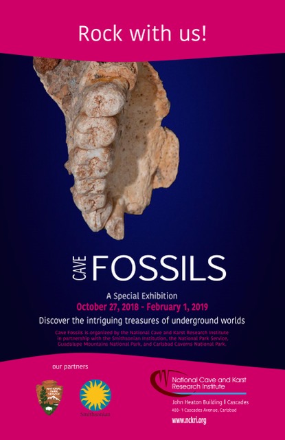 Cave Fossil Exhibition flyer