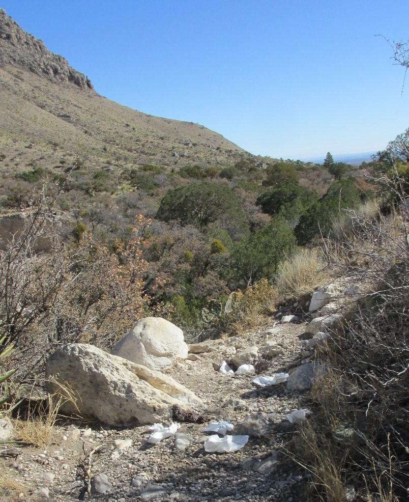 GUMO_DHtrail-tp-01 Toilet paper along a sunlit rocky desert trail.