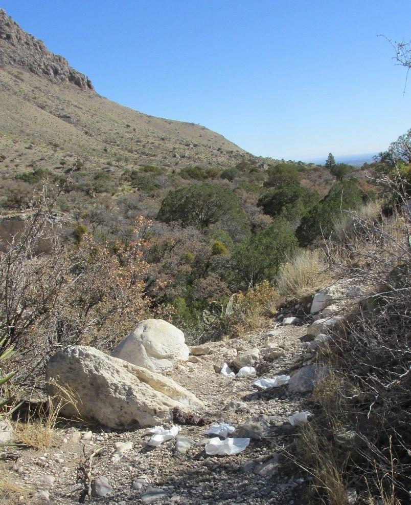 Toilet paper along a sunlit rocky desert trail.