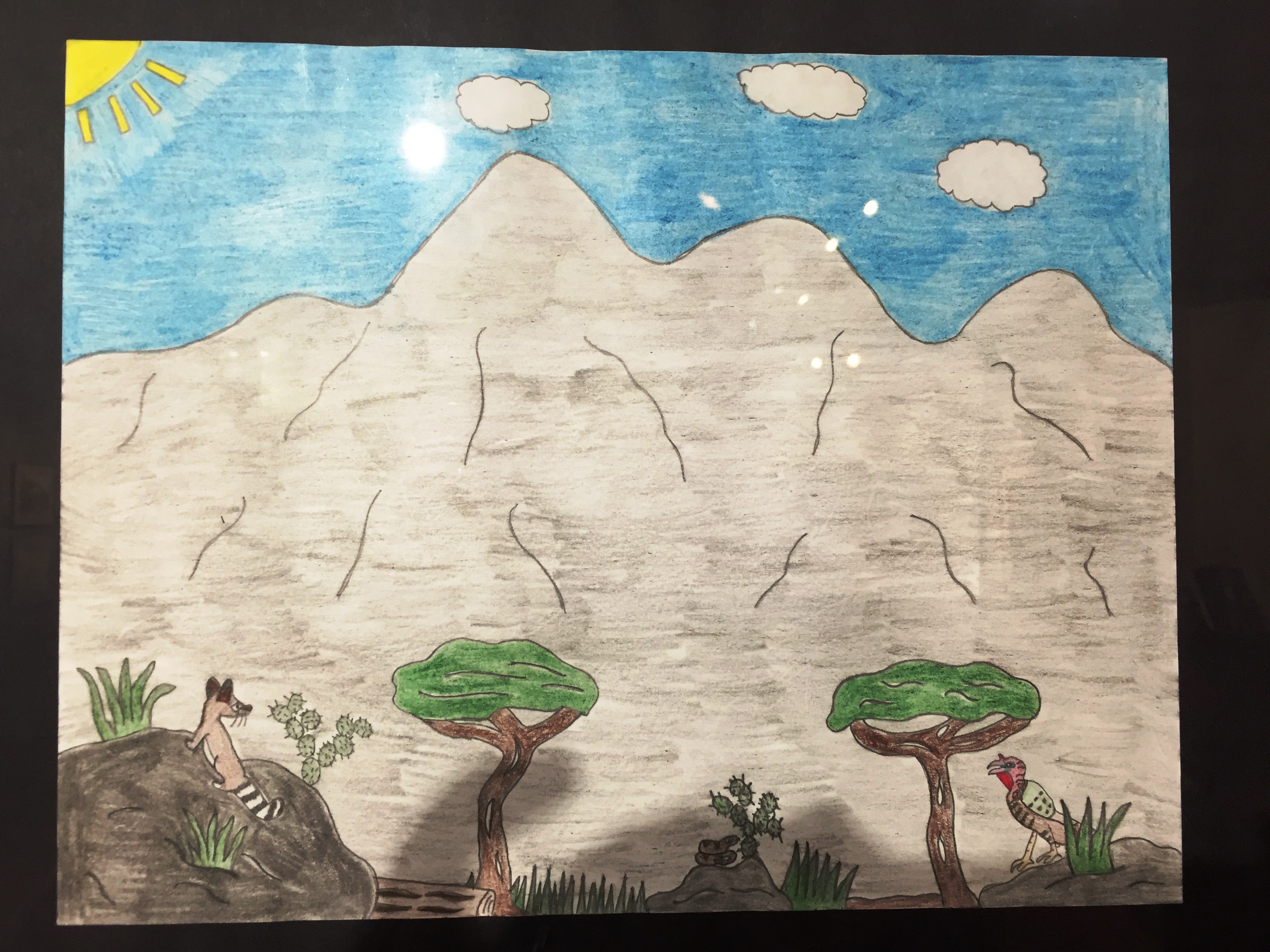 Youth drawing of Guadalupe Mountains, ringtail, snake and turkey