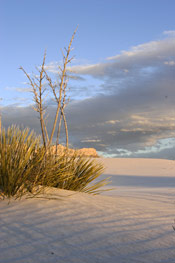dunes dunes