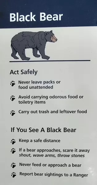 The text of a bear safety sign