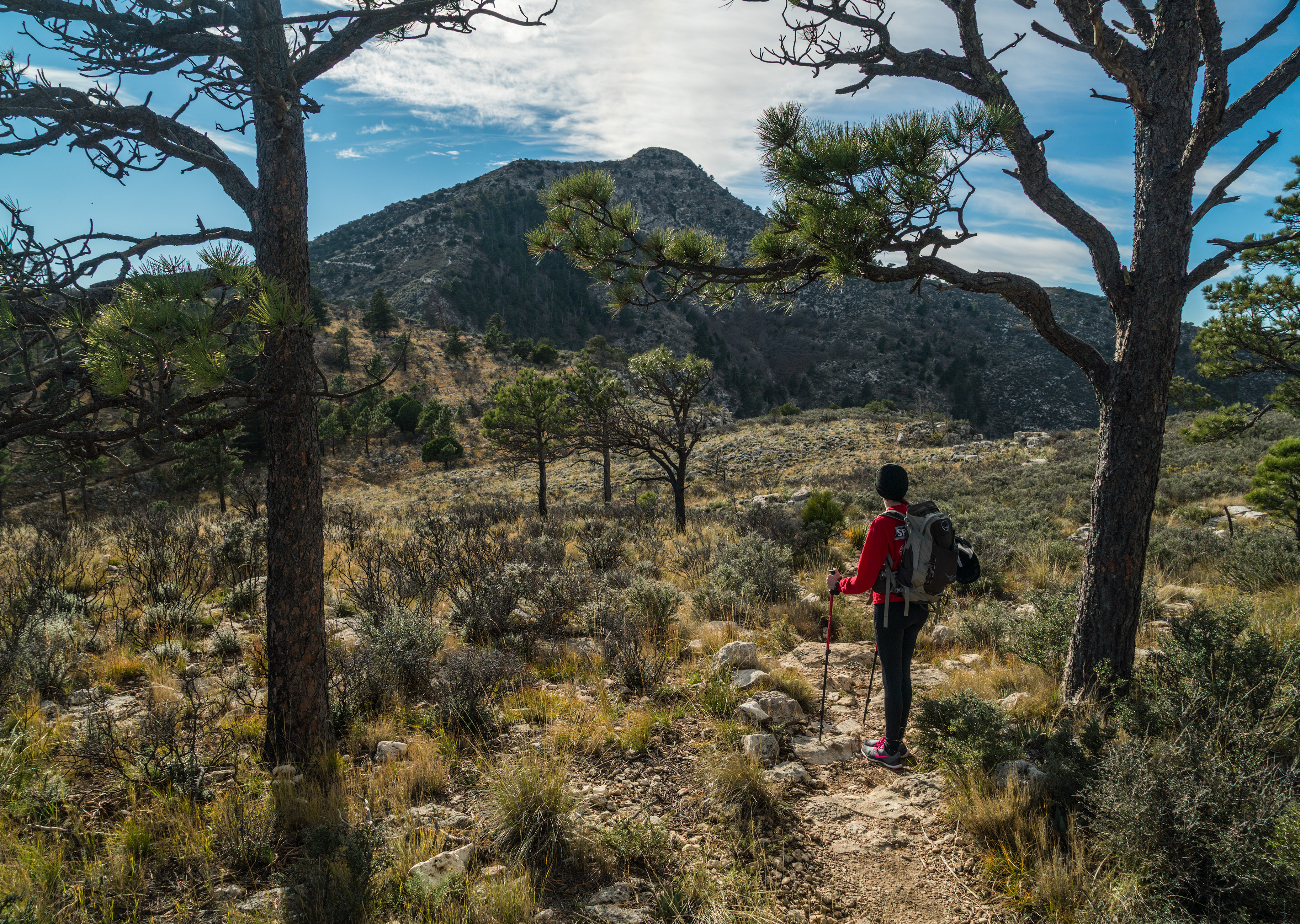 A hiker stands on a trail with a desert mountain summit rising in the distance