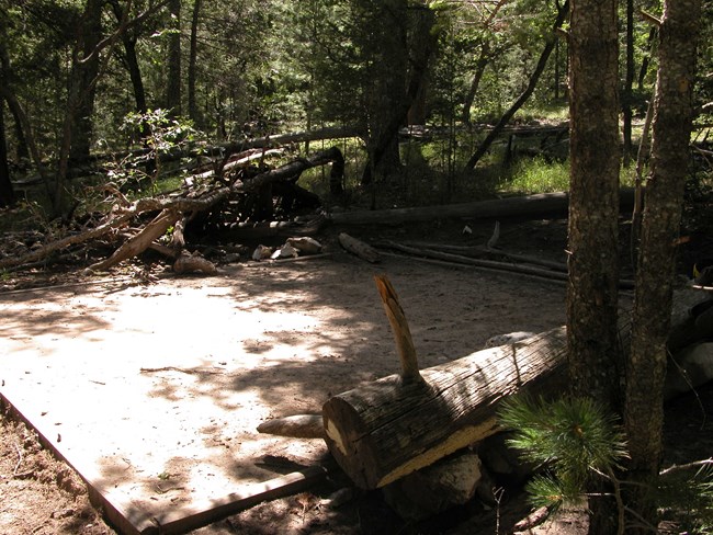 A picture of a tent pad in the wilderness at the Tejas Backcountry Site
