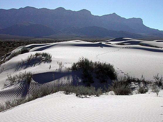 Salt Basin Dunes Salt Basin Dunes
