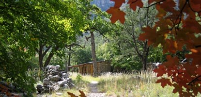A favorite hike for many visitors is through McKittrick Canyon to the Hunter Line Cabin. A favorite hike for many visitors is through McKittrick Canyon to the Hunter Line Cabin.