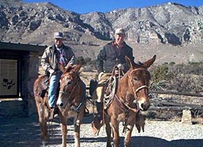 Riders prepare to explore the park on mules.