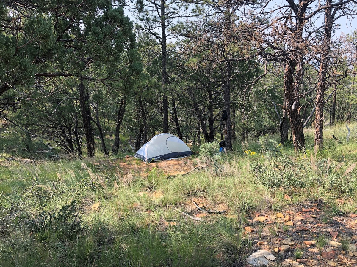 A white tent sits on a tent pad in a desert mountain landscape with trees