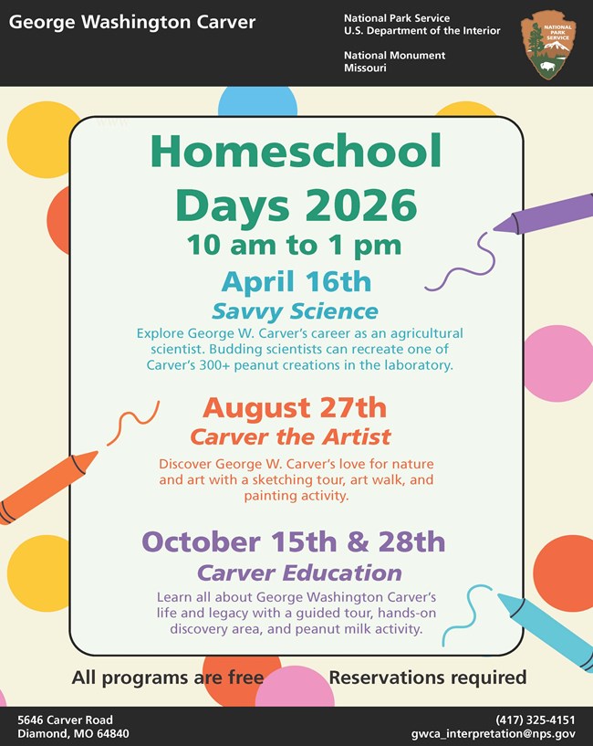 Infographic for Homeschool Days with color pencils and balloons.