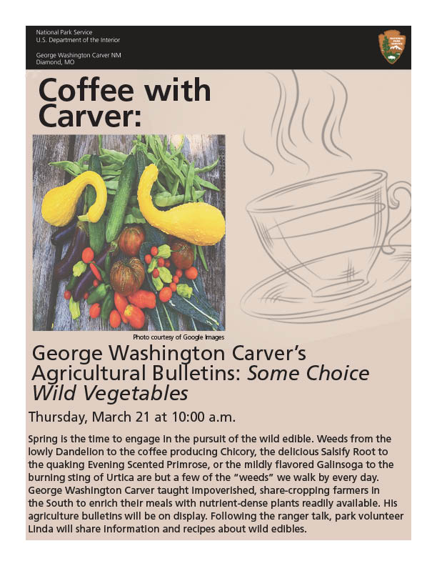 Coffee with George Washington Carver Program A table of colorful vegetables. Colors include red, yellow, green, orange, and purple.