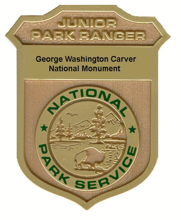 A gold park junior ranger badge.