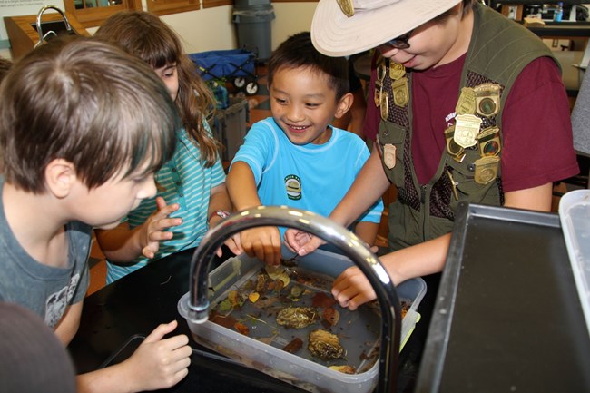 Junior rangers exploring in the science classroom.