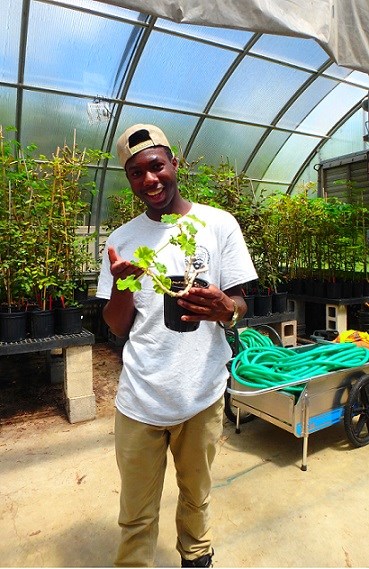 YCC member working in greenhouse YCC member working in greenhouse