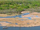 Aerial view of Dyke Marsh with fallen trees at the shoreline
