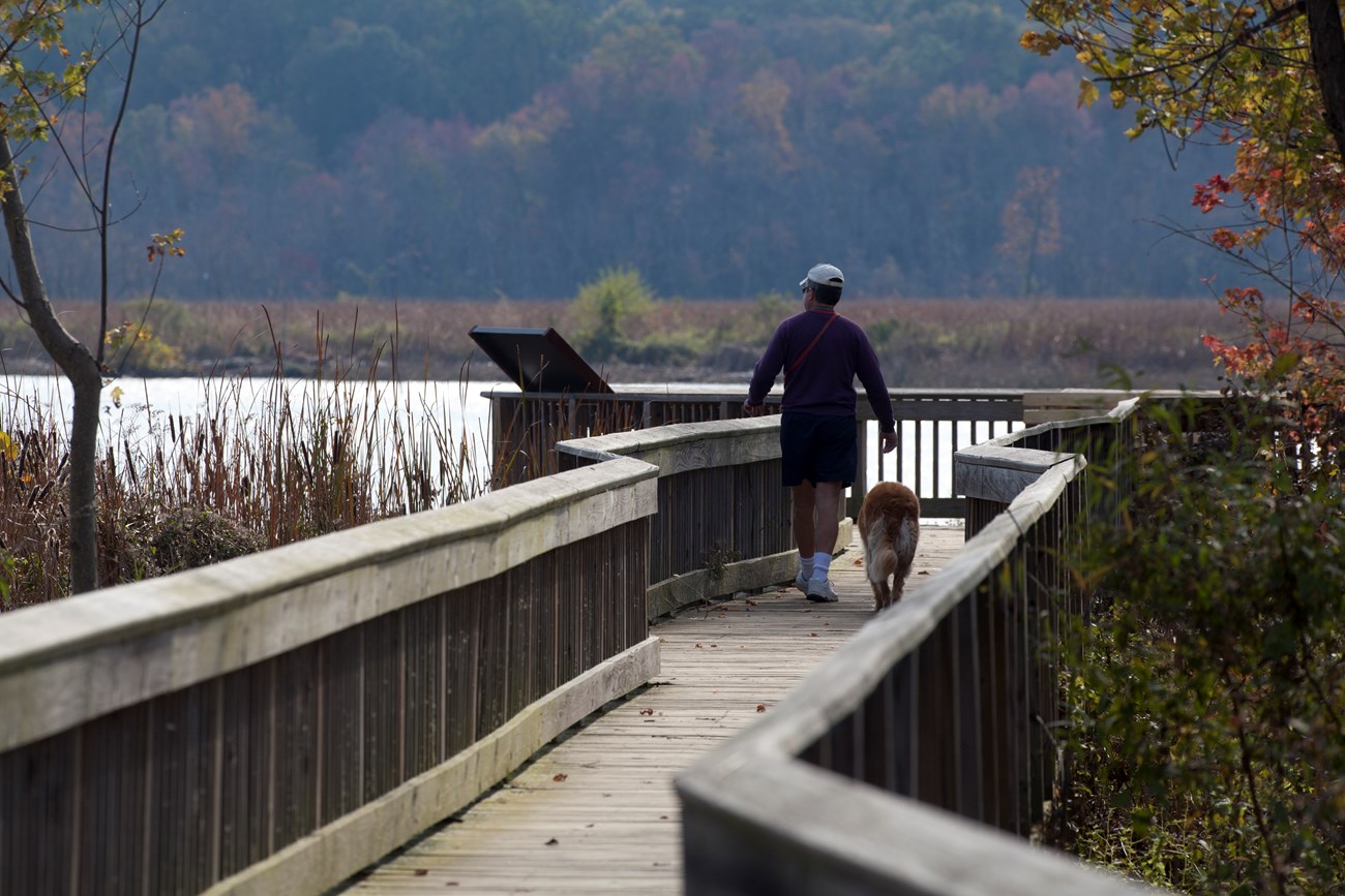 A man and his dog enjoying a walk along Dyke Marsh Wildlife Preserve
