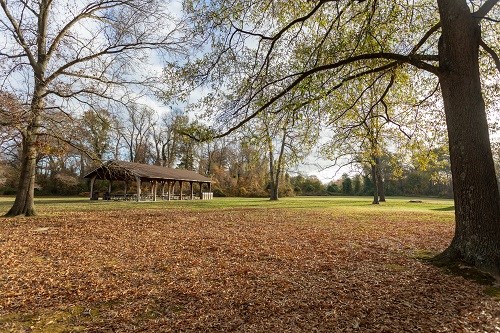 A picnic pavilion stands in a grassy field with some trees.