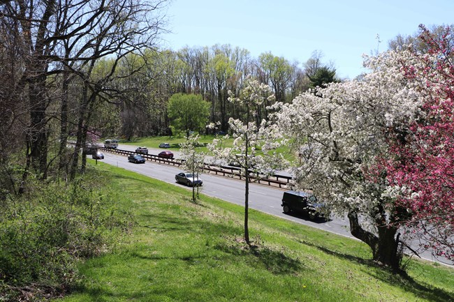 Cars driving on the parkway