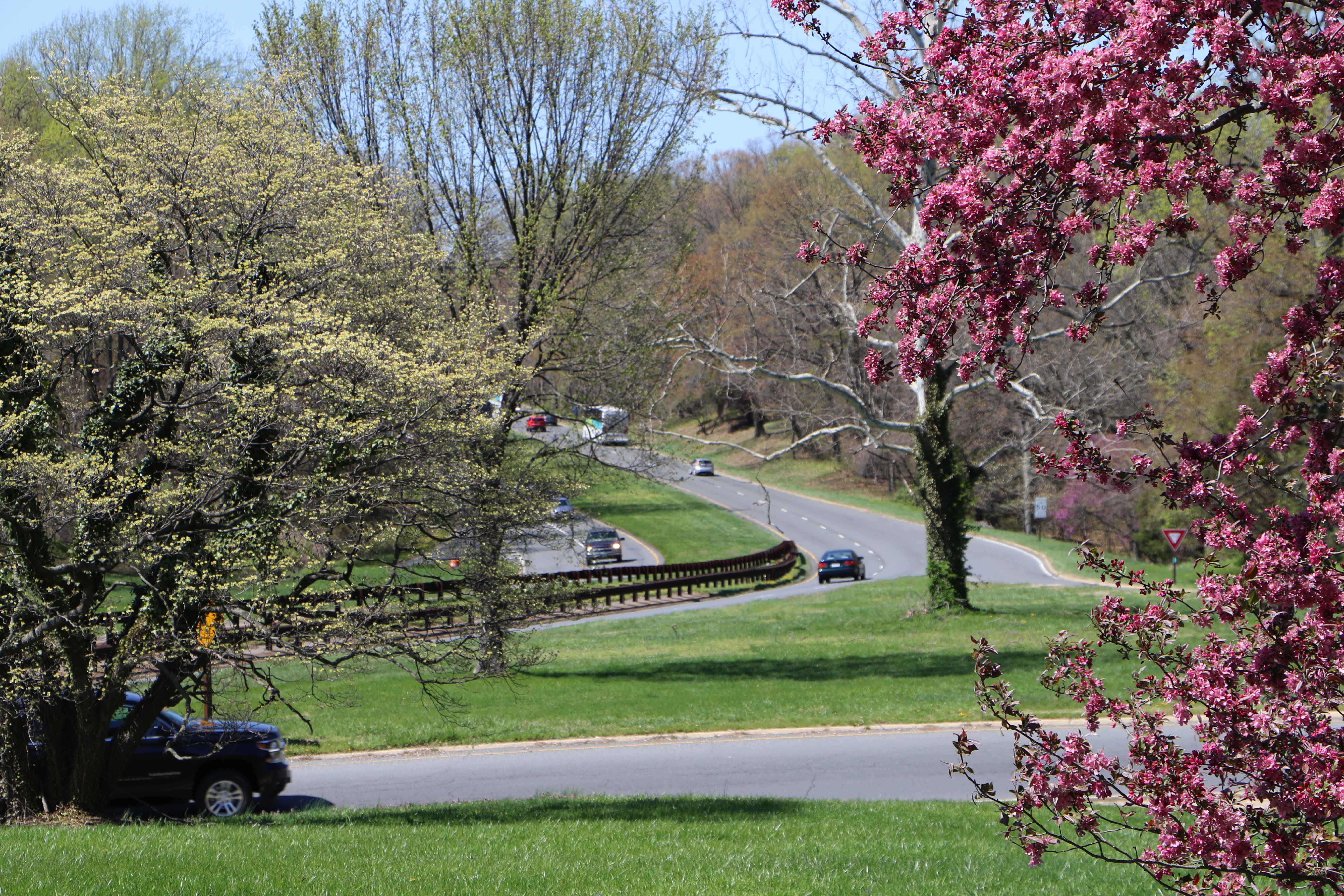 Pretty image of the parkway in spring.