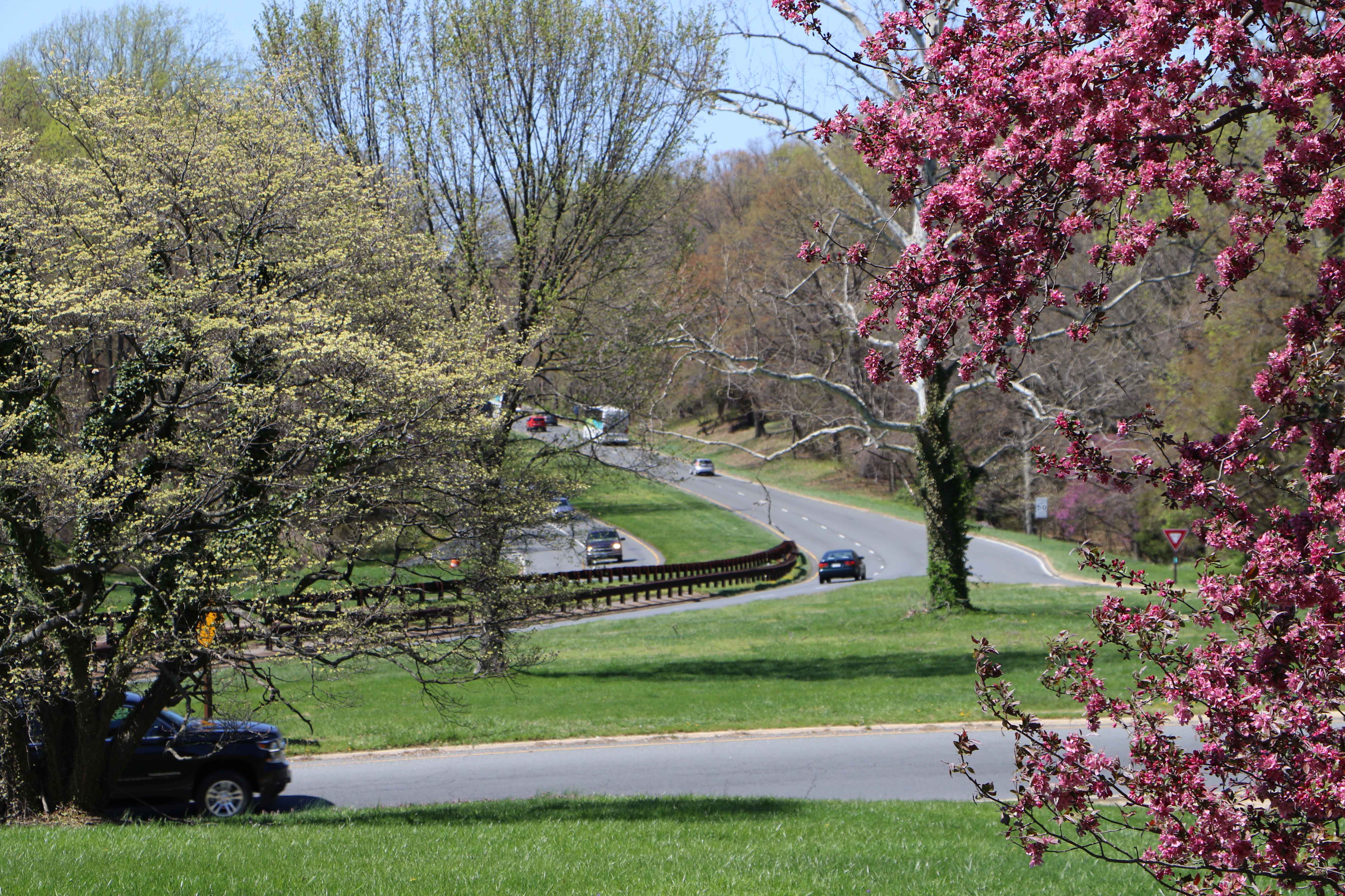 GWMP_Spring2 Pretty image of the parkway in spring.