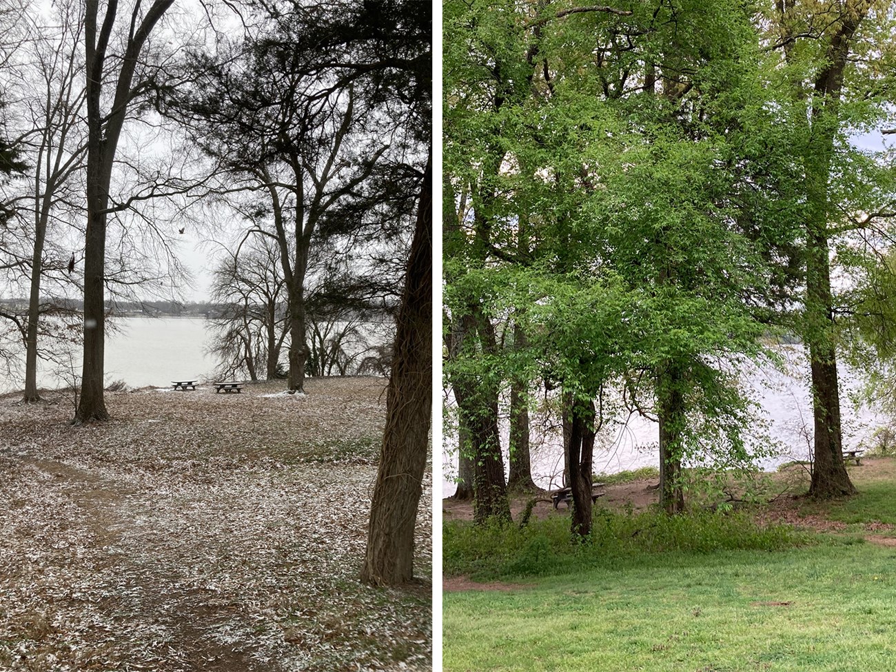 Collingwood Picnic Area