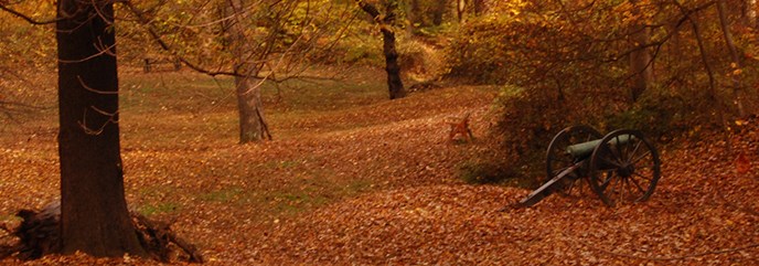 Earthworks, cannon, and bench at Fort Marcy