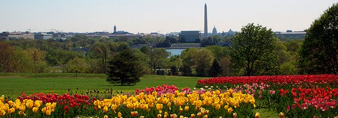 Floral library with Washington Monument in background
