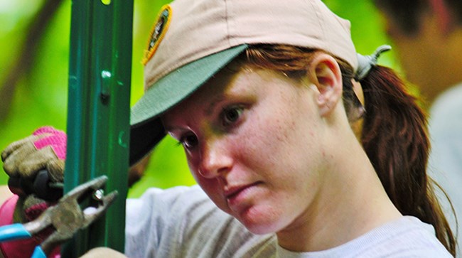 Natural Resources intern, Hope Fraser, installs a deer exclosure Natural Resources intern, Hope Fraser, installs a deer exclosure