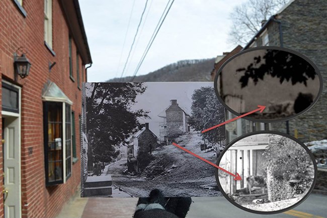 Street scene of High Street, image shows a "pic in a pic" which shows a historic image over the modern image taken on-site; highlights of farm animals are pulled from the historic image