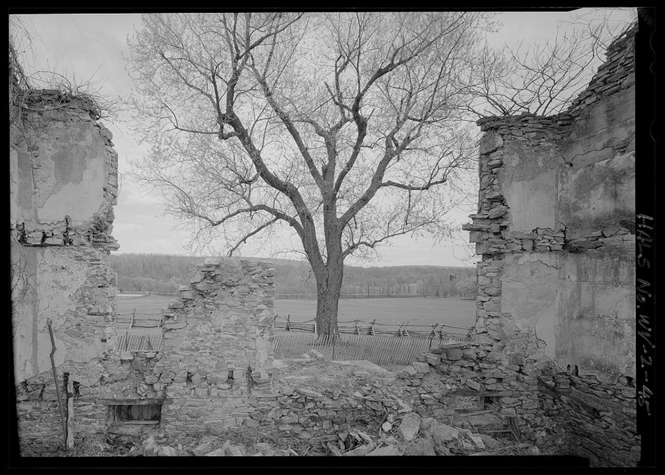 black and white photo of a tree and the stone ruins of the John H. Allstadt House