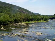 Potomac River