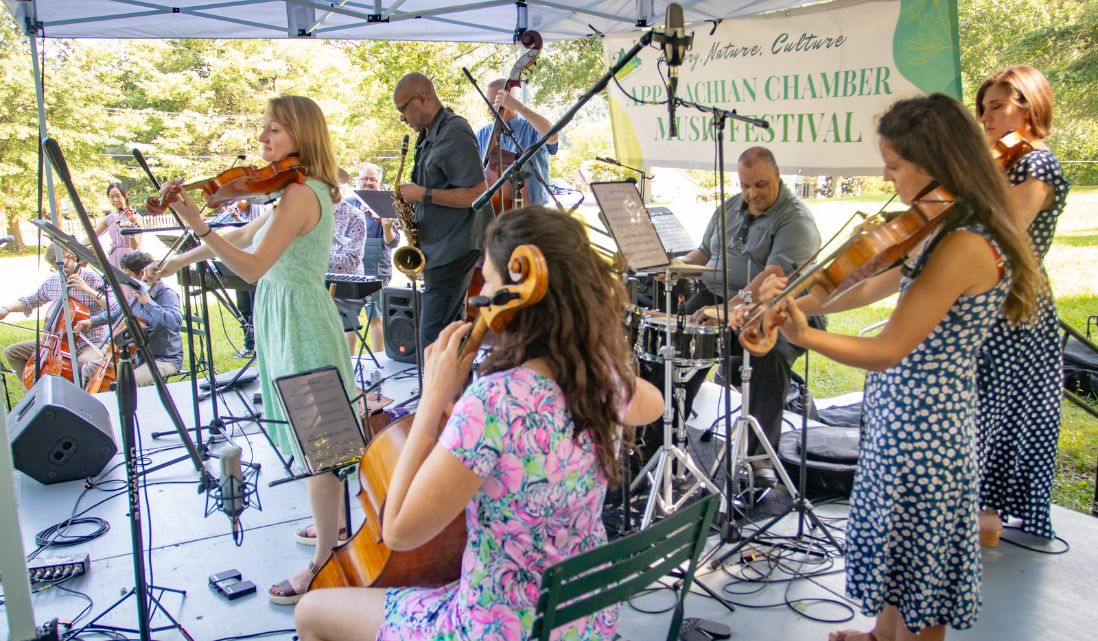 ACMF Concert 2024 Musicians play stringed instruments on a stage.