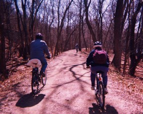 People ride bicycles on a gravel path through the woods