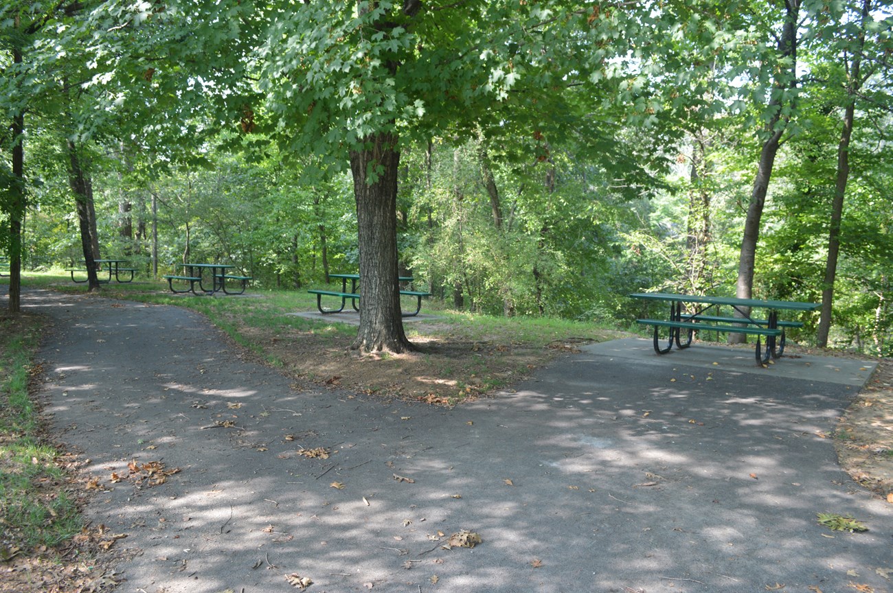 Wooded area with picnic tables along an asphalt path.