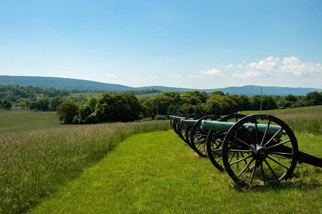 Row of four cannons on Schoolhouse Ridge North. Looking at the cannons from the side.