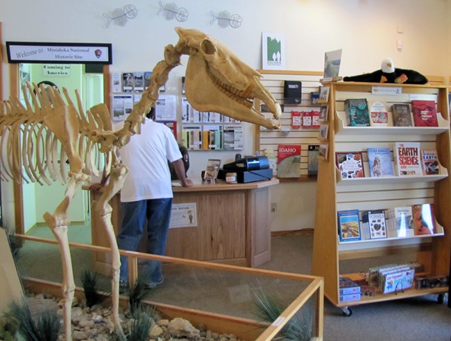 View of the bookstore and the Hagerman Horse. View of the bookstore and the Hagerman Horse.
