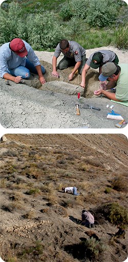 Two photographs: on the top, three figures in NPS uniforms crouch beside an excavation site a few feet wide. On the bottom, the small figures of paleontologists crouch close to the ground, looking for fossils
