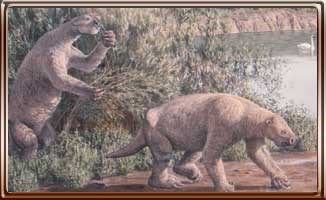 Ground Sloths