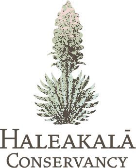 Blooming silversword plant with tall stalk and words Haleakala Conservancy